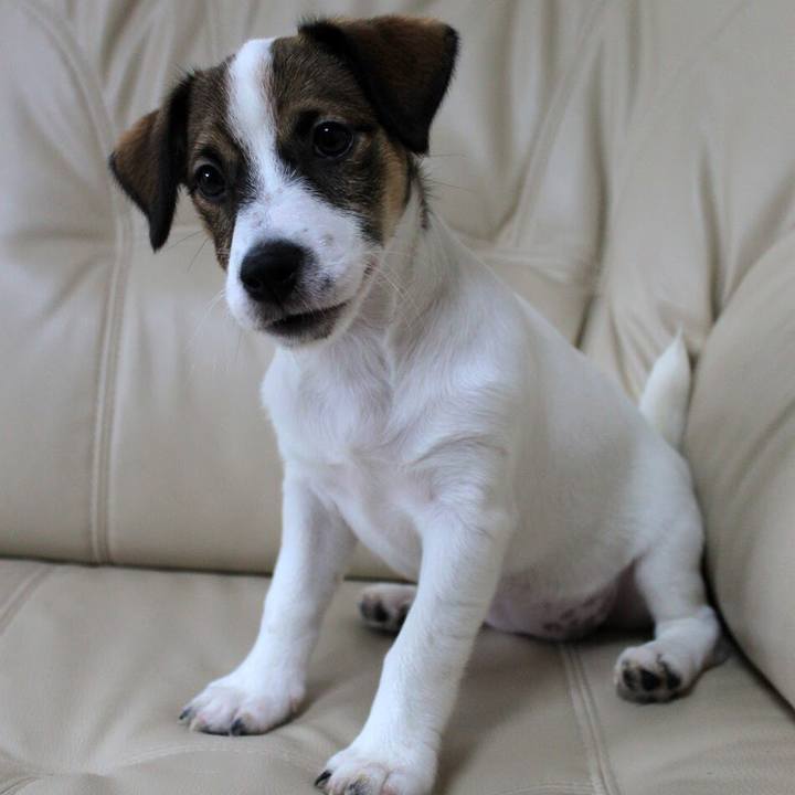 B70f4712 330e 428b 939b ffa6dfca08d7