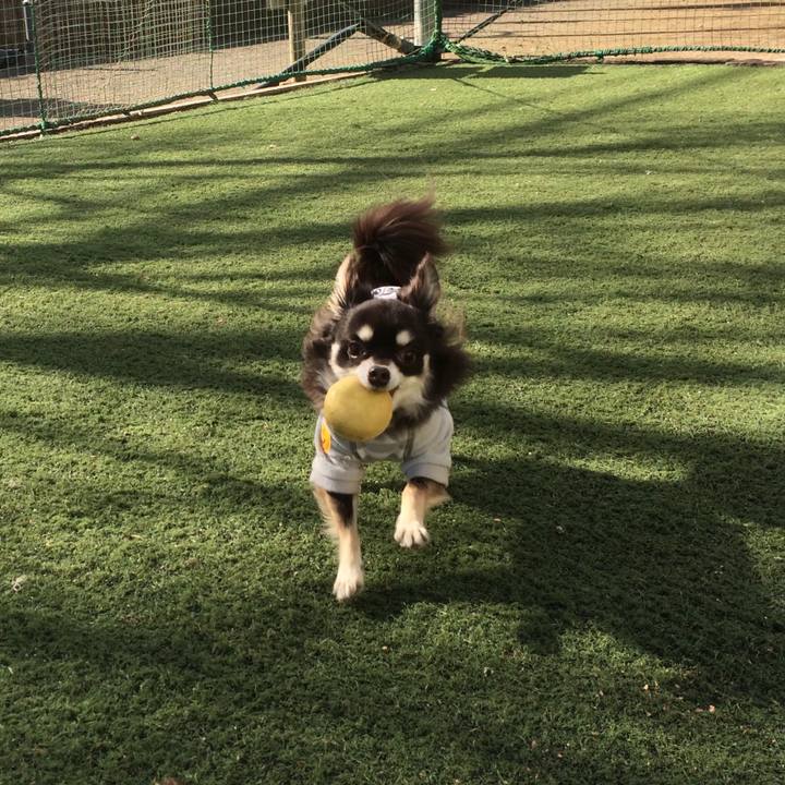 B70f56d0 fbca 4761 8d94 d18875305d44