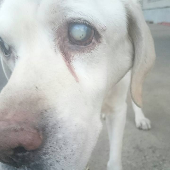 B710bb53 9efb 4cee bd9b 04c69f9633a8