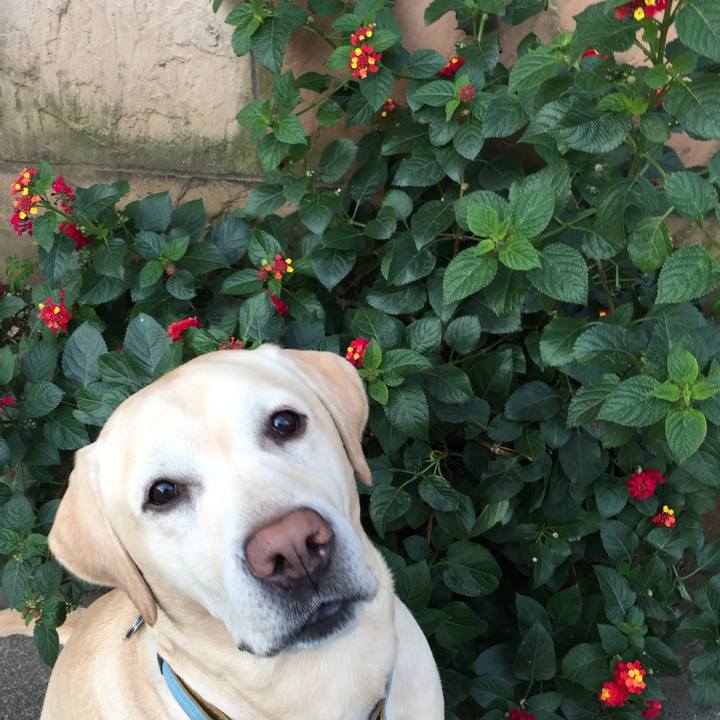 B711bfd6 f226 486f 905d 8aff2eda4c84