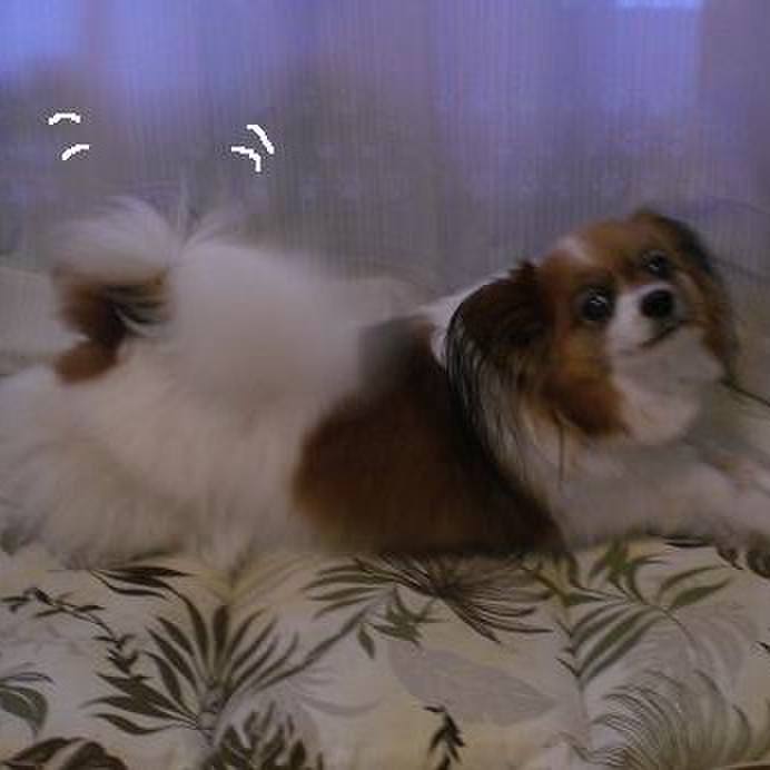 B71295f8 b686 4136 9b14 6e2b6b840bca