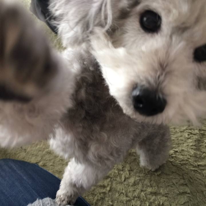 B713200d 379b 4a8a a333 90e9e7a1dc28