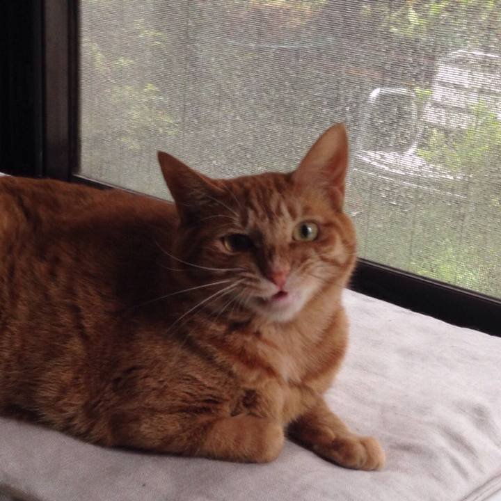 B713a147 8463 4fff ba4a 30bc16929b23