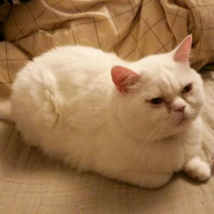 B713b507 6322 458d 8408 66968caceba6