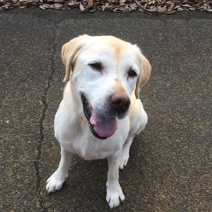 B714ff68 f4b9 4e0d 90d7 83c3f59409f1