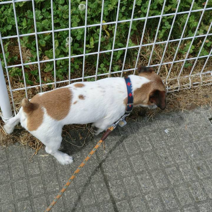 B71504b4 42a1 47bd 9162 fa60f55cd593