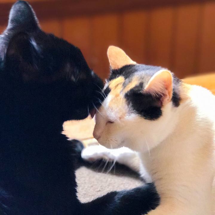 B71526f6 1cd5 4911 b157 960966c48085