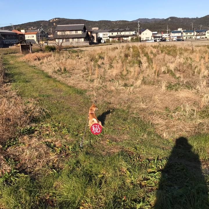 B7153234 86b6 43eb 89b4 1bdbf2bd8788