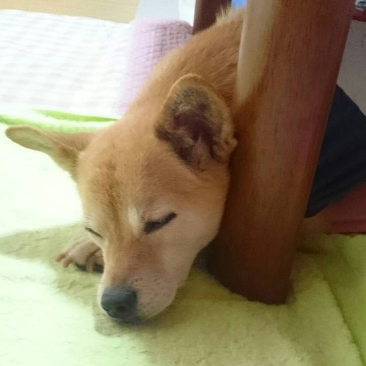 B7159834 2ac3 4a08 b21f 8cc04c7e8df3