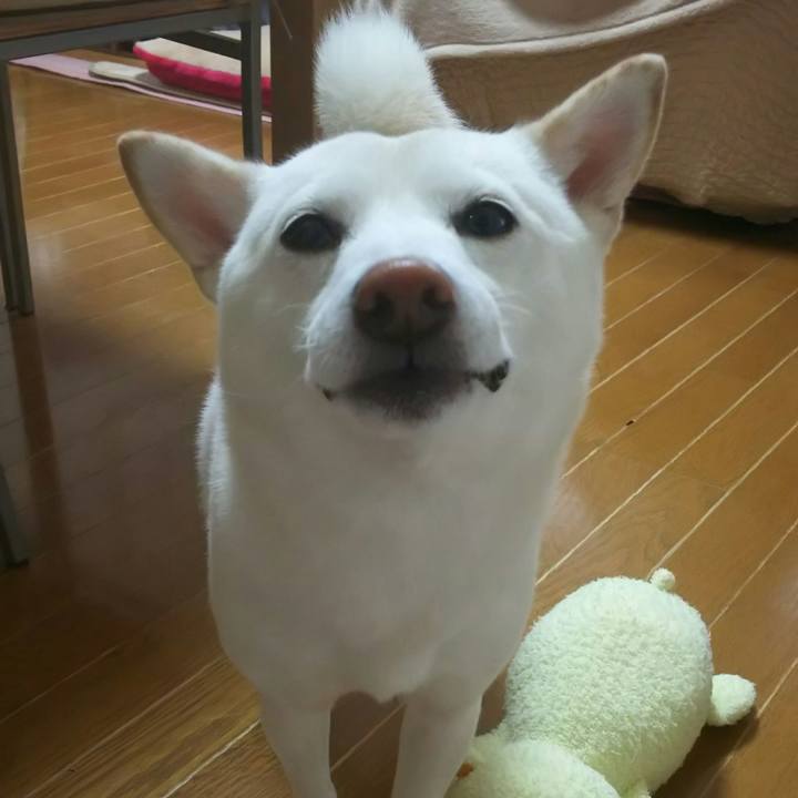 B7162047 73bd 4ec9 ad23 ab77655e3292