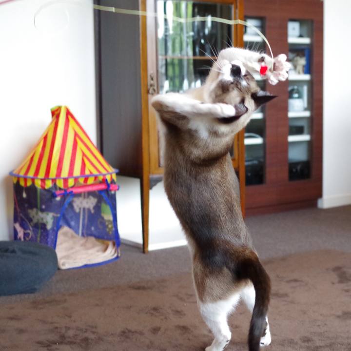 B7166ae2 11ae 4896 b57d d68f449044cc