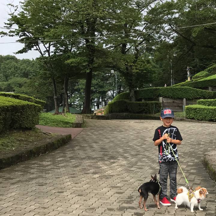 B7167a55 a151 414c 858b 682170ef4b54