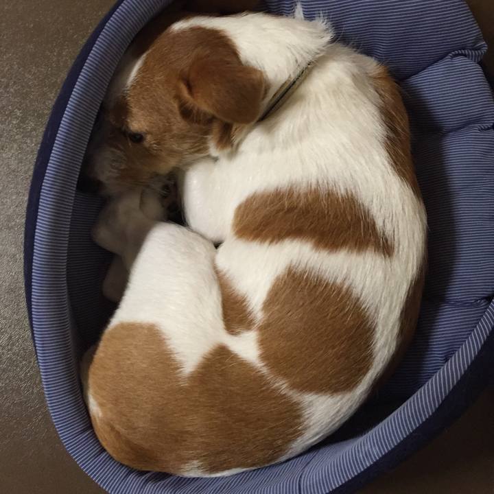 B717d8d0 cb13 482a a865 2cdf731d8663