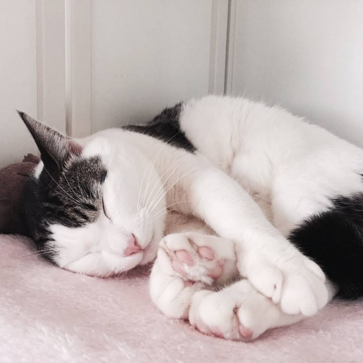 B71927fa 9f59 4c76 9422 d480ed1ae80f