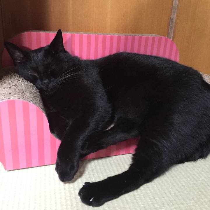 B71932fb 17a6 49a8 abf0 52d072c629b6