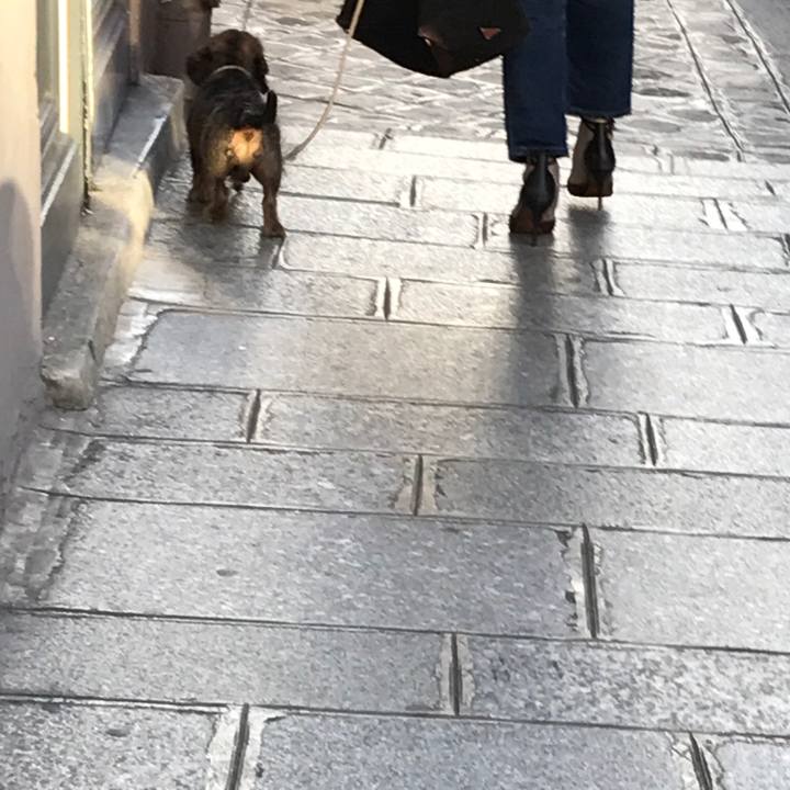 B719583f 771e 40d4 a07e 37b8c07cfda8