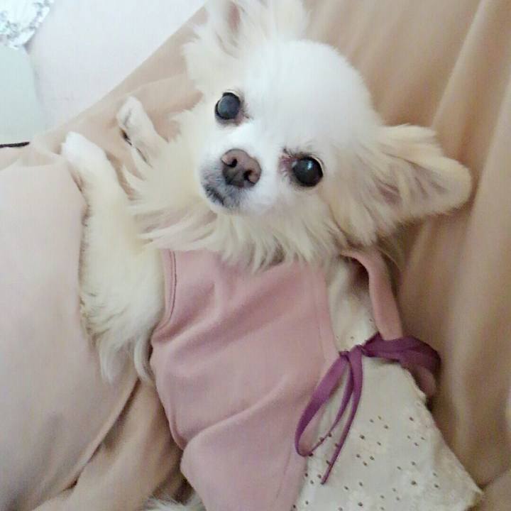 B71a2825 8c5f 4f94 ab40 7ff31273f17e