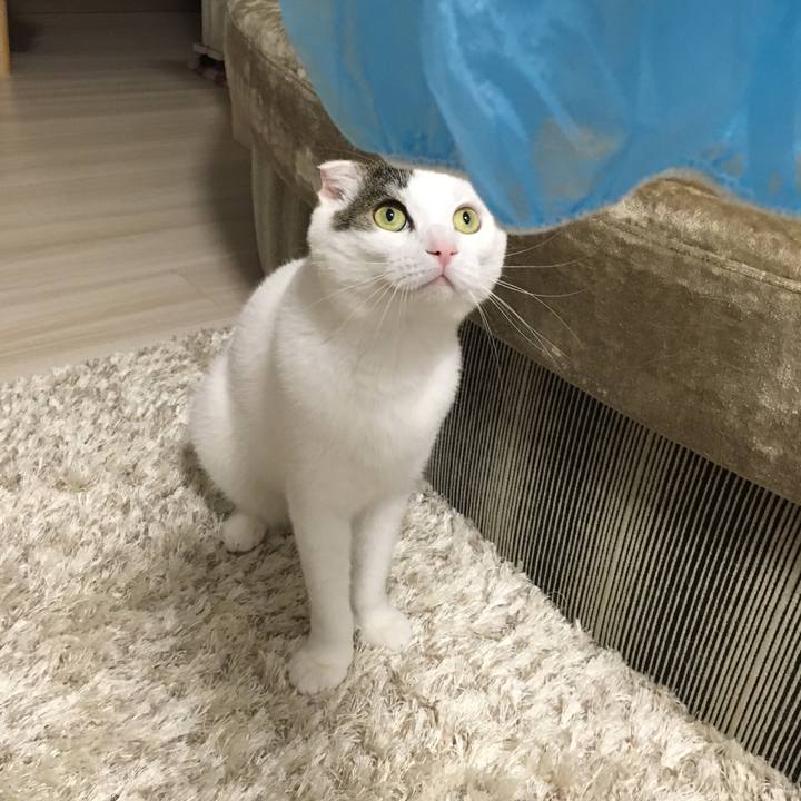 B71a2f85 7f9d 40f4 994d ce4b86349543