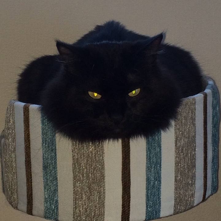 B71b9d42 fbb5 4403 b873 03b1b6e01500