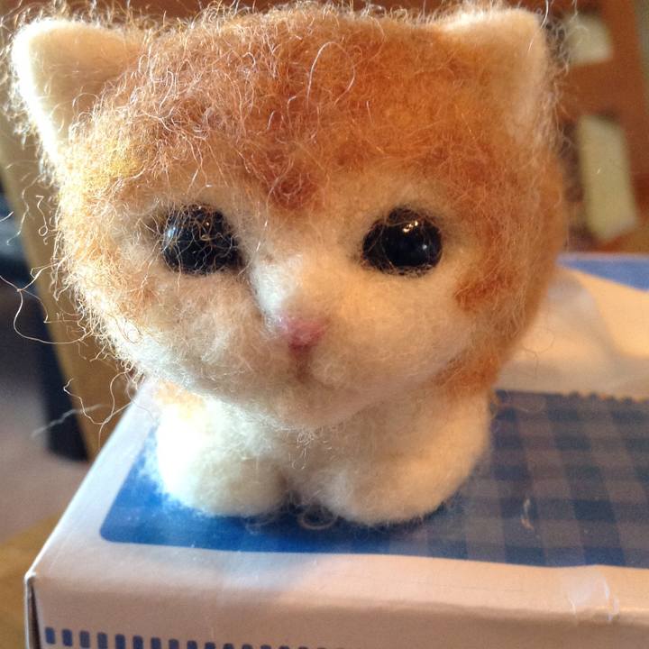 B71bcbce a52d 4ba1 9092 886e8d5c3495