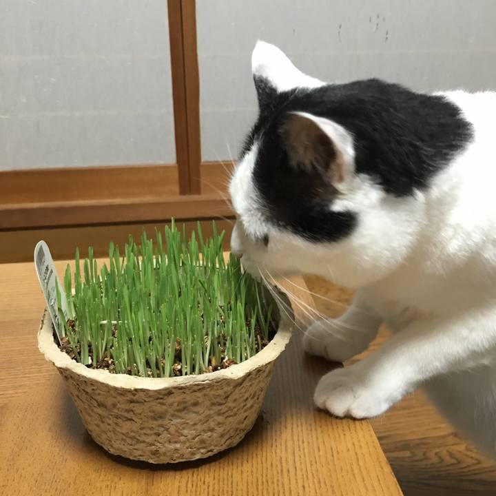 B71bebd6 1832 4046 8aed 677a59ac271f