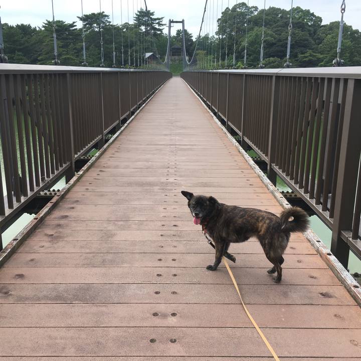 B71c6e2f 6b8e 4a15 840d f7c67529622e