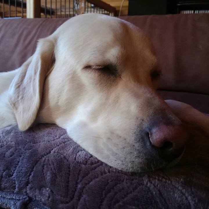 B71c9b66 da8b 4fac 8a79 686b6d993a74