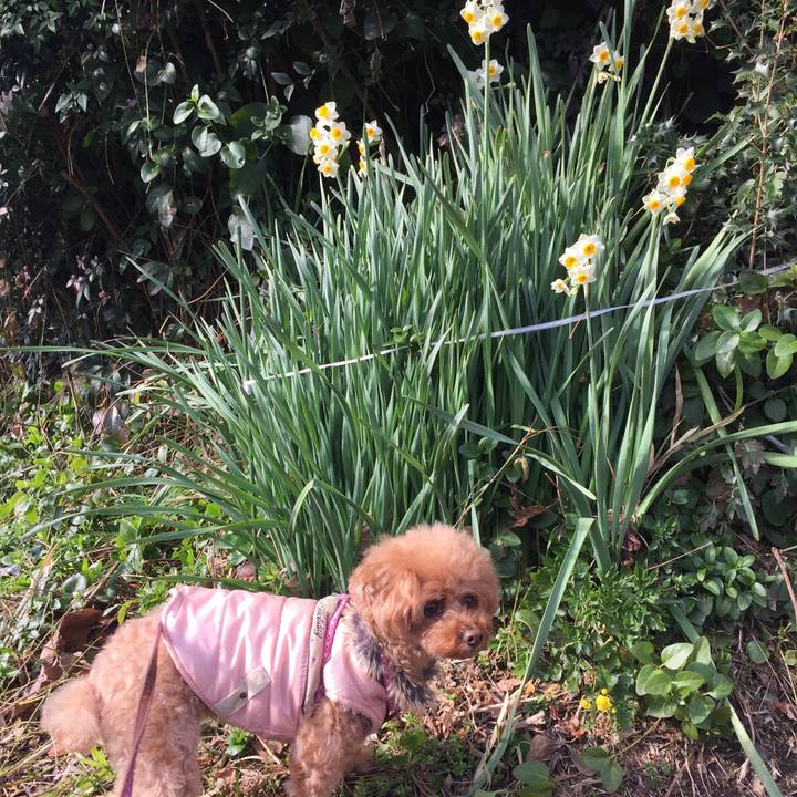 B71ceba4 70a8 4881 8410 8250260915d9