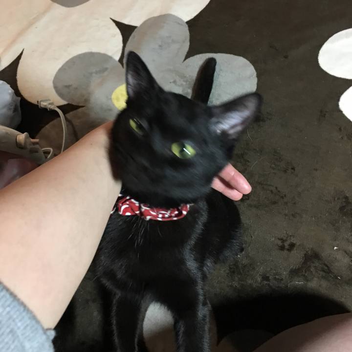 B71d615a 8df7 48b1 8701 4c40a62136d5