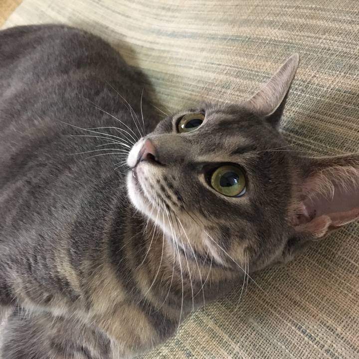 B71dfa36 eafd 487f ab95 01a209224606