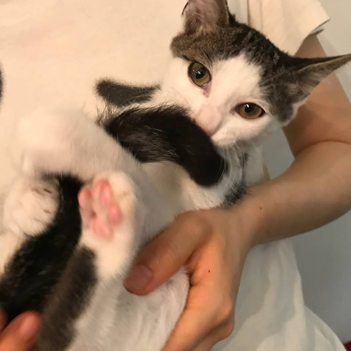 B71e2149 babd 494c bec9 b03fe3c2ca57