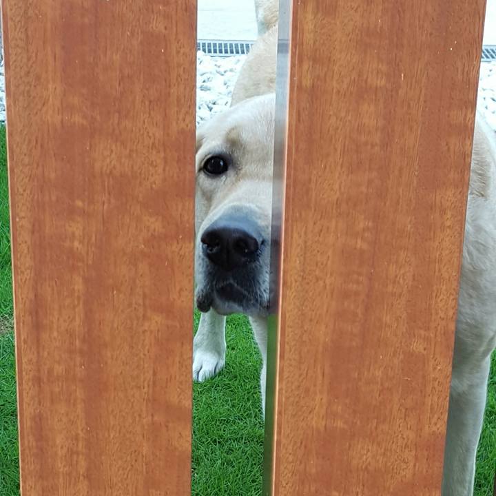 B71e44d4 32d6 4852 85d9 a73b08a904df