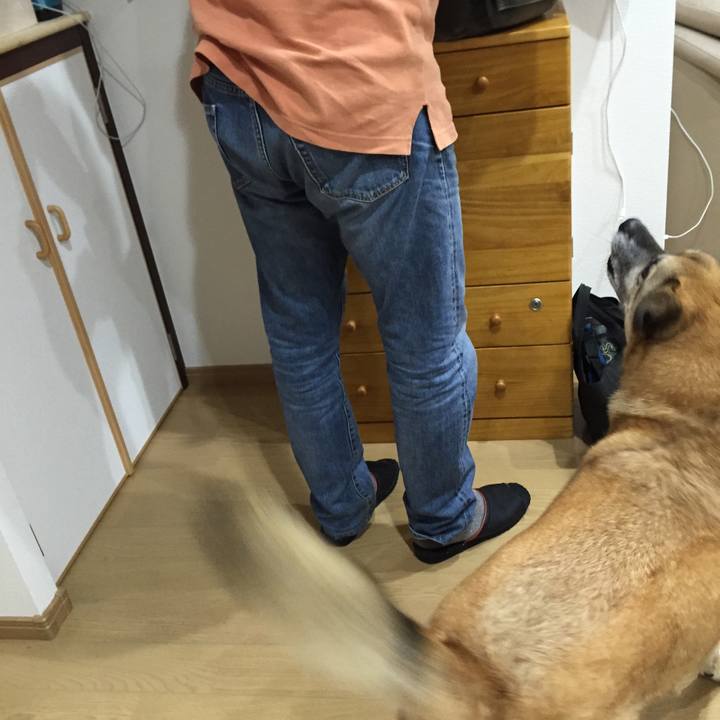 B71f6fef e142 4508 b296 31f65df29665