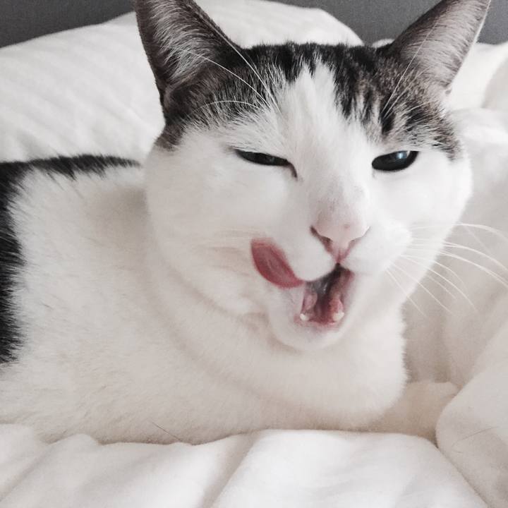 B7206610 53f1 4b59 a9d5 333ce845885a