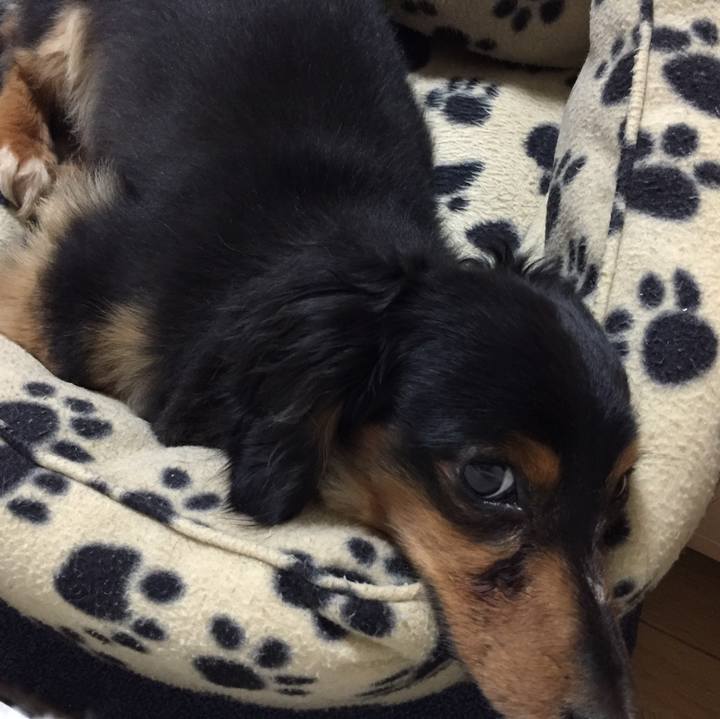 B720e2c3 033a 4ef4 93e2 b98c6c96feb5