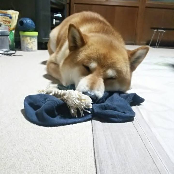 B7218372 8fbd 4e48 adbc f455db543f85