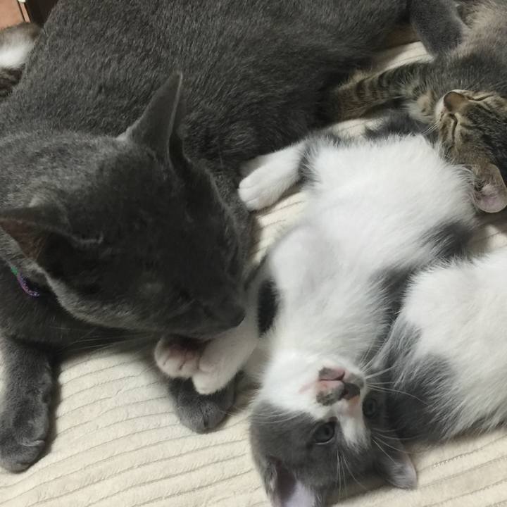 B721ed69 2c93 49c4 b24d d5df950932cb