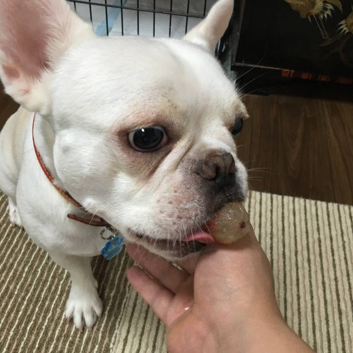 B722f797 7d2d 48d9 aba2 31b87f9976c3