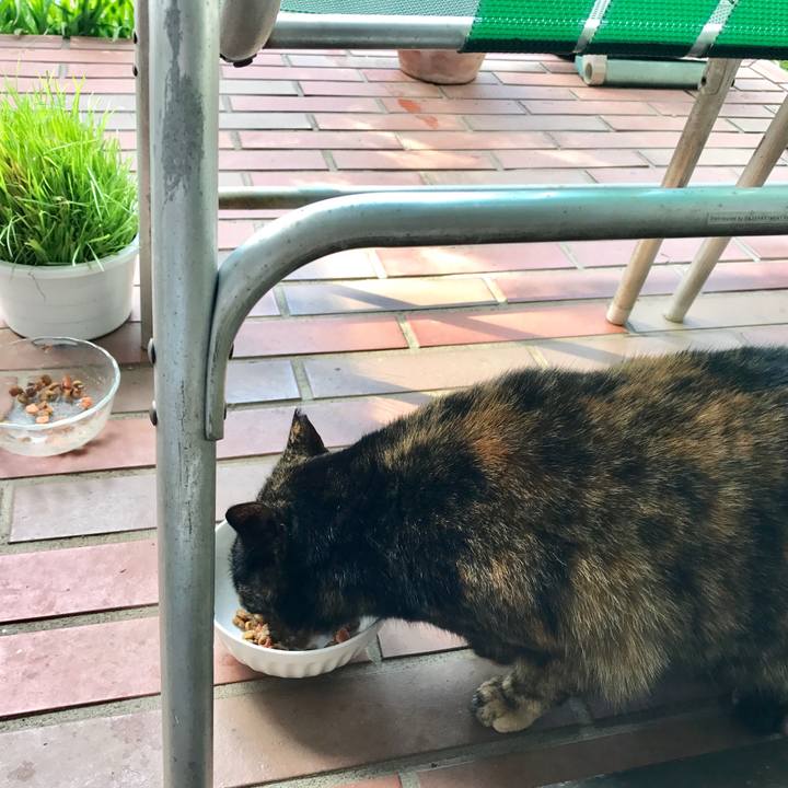 B7235272 f874 4231 bf41 3bfed481a49c