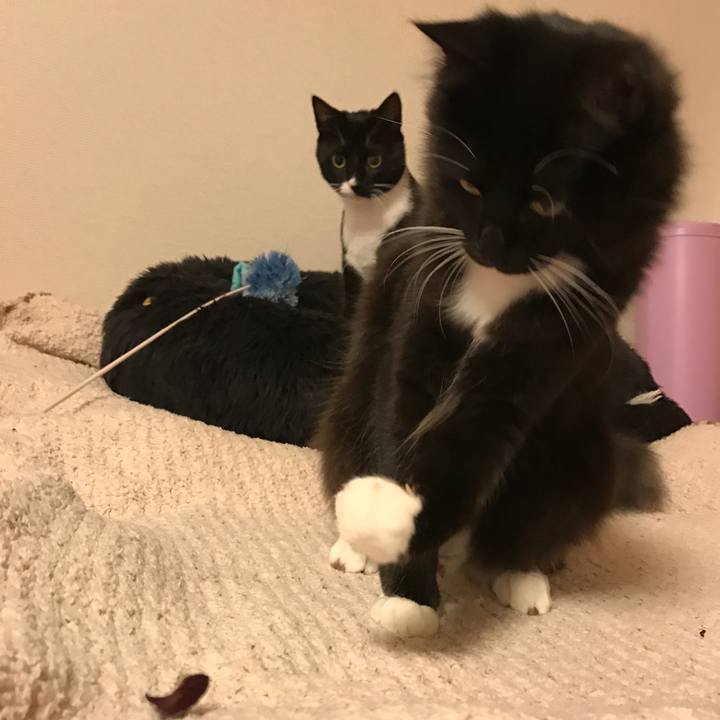 B72393df 0fdb 450e b374 515bd1e71f57