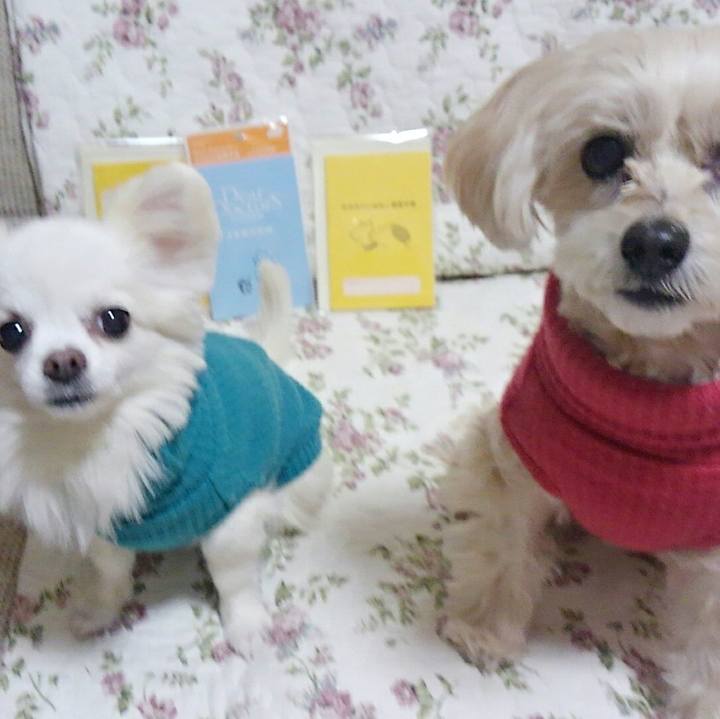 B723ba1b 8b11 4b48 926b a63ce94f4bef