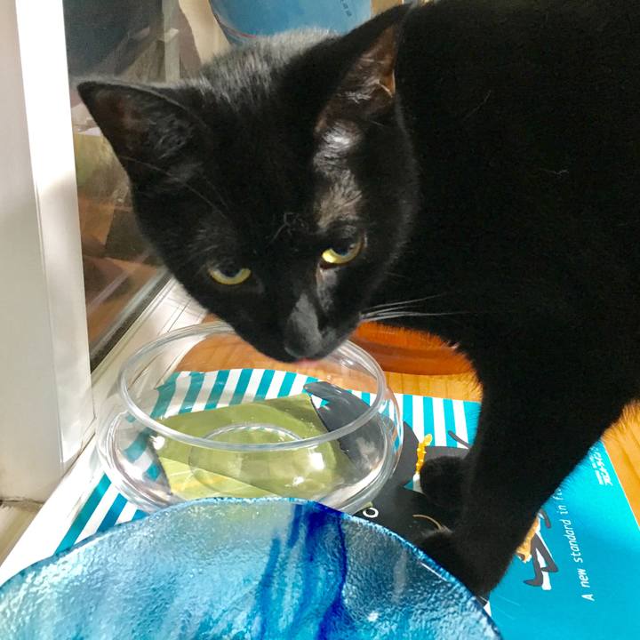 B723da35 b4e8 41d8 9893 8cc0ef8f8a17