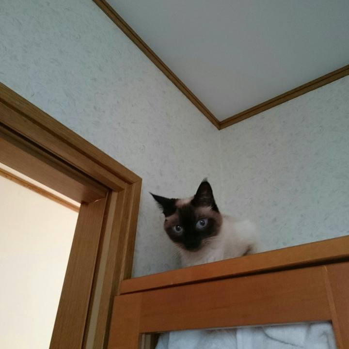 B7249cc7 ccd8 4202 9f44 1b788893e321