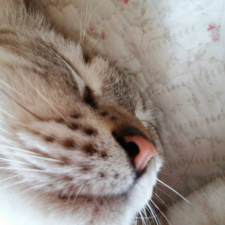 B724c43c 80f1 47f8 9d4a 0bd3f646928a