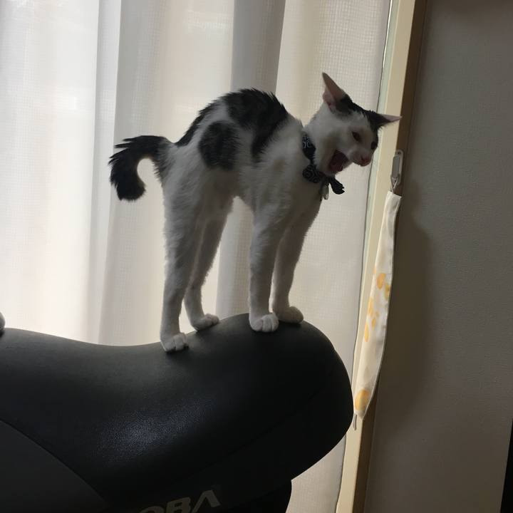 B725a707 e305 427b 93db 8a726d156b81