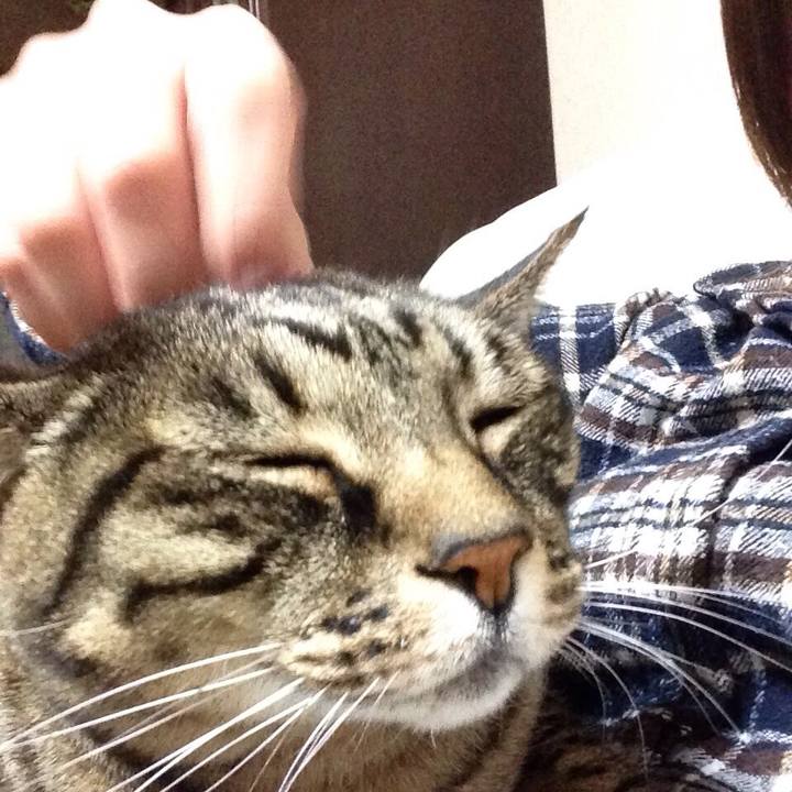 B7262e4b 0ccc 4519 992b 1a932c2c7f6d