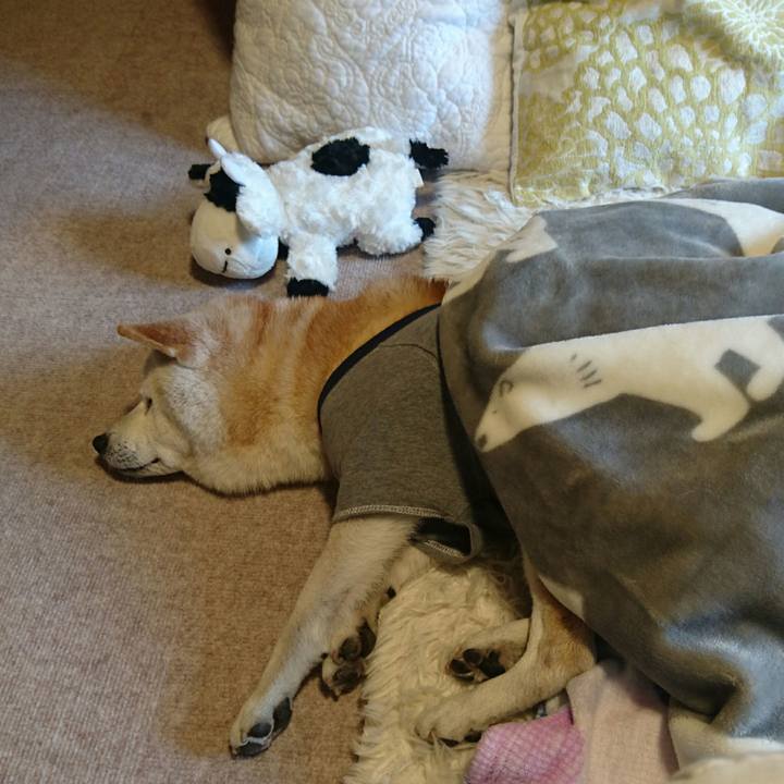 B7265a7a ca24 4e7d 9a18 5ce5039e719b