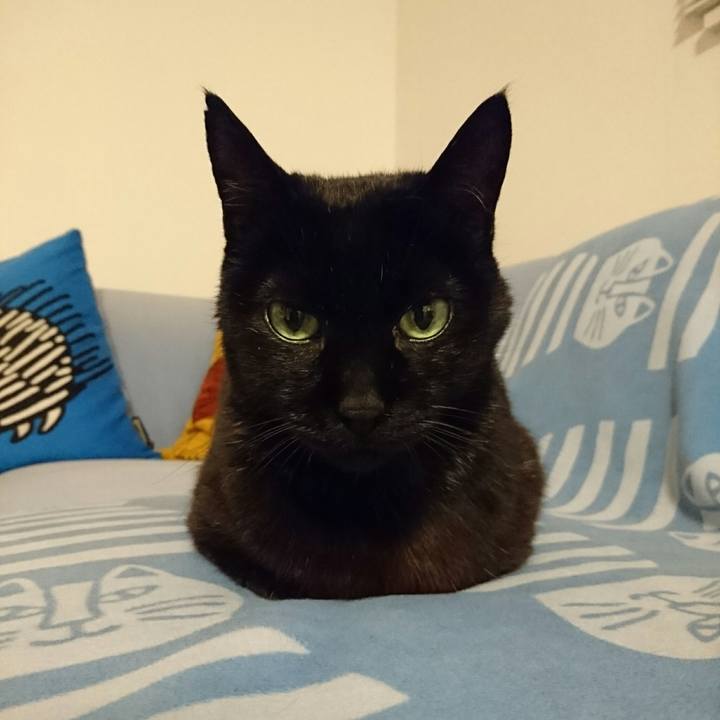 B726c358 3fee 431f a0cf 4d5083c874e6