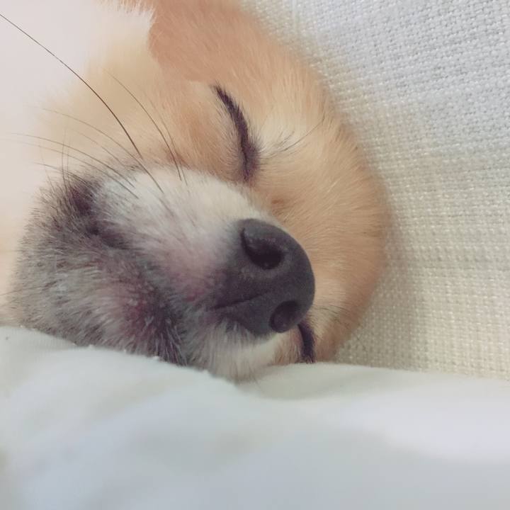 B72728d7 d2f4 4044 828a 0ae4d9fe7003