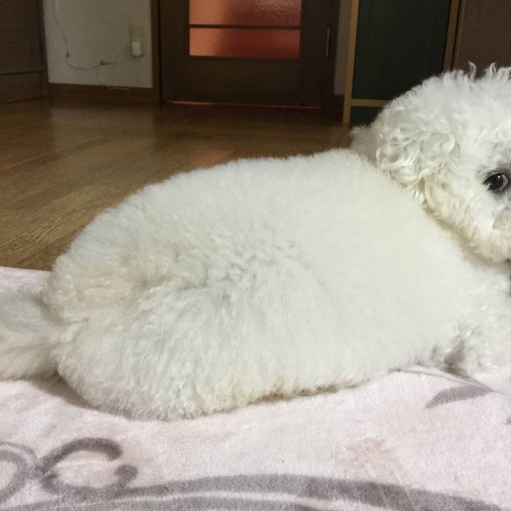 B72762ad 71fb 4d18 a894 2e81169a578b